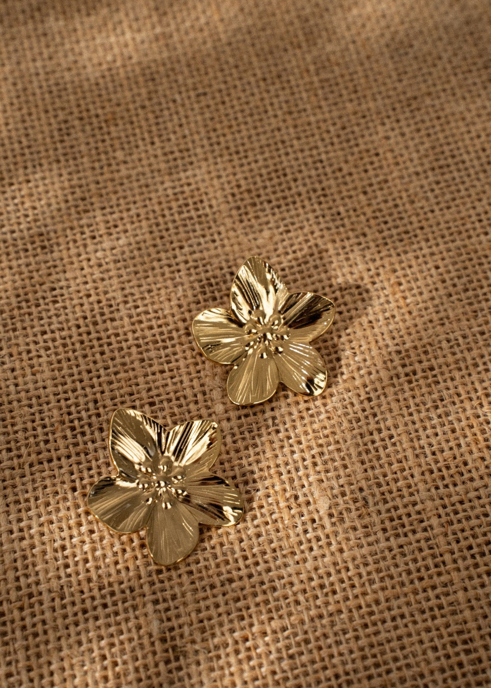 Boucles Elva